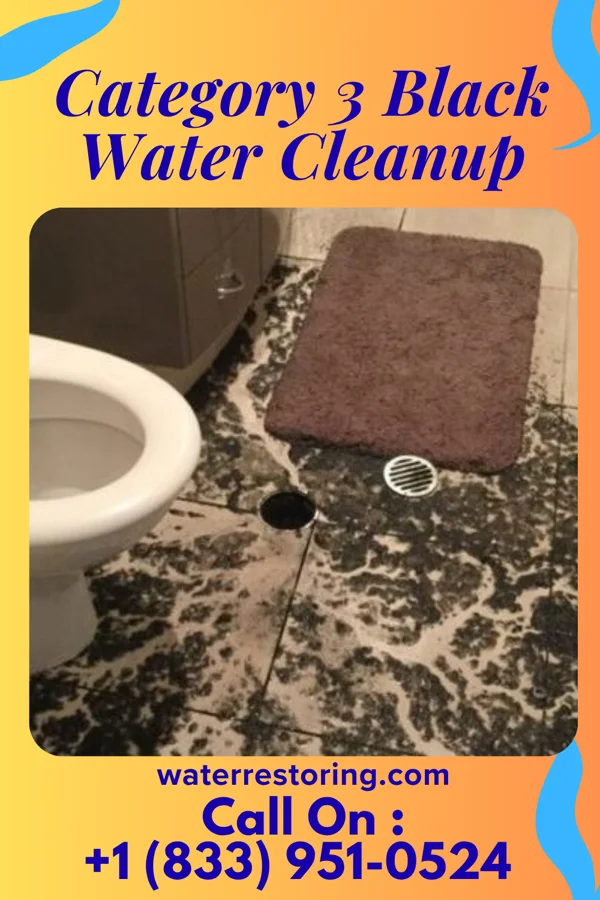 Category 3 Black Water Cleanup in Mexican Colony, CA